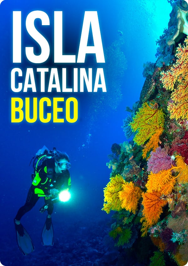 65f2b1383408377c7c38c69b_Buceo en Isla Catalina