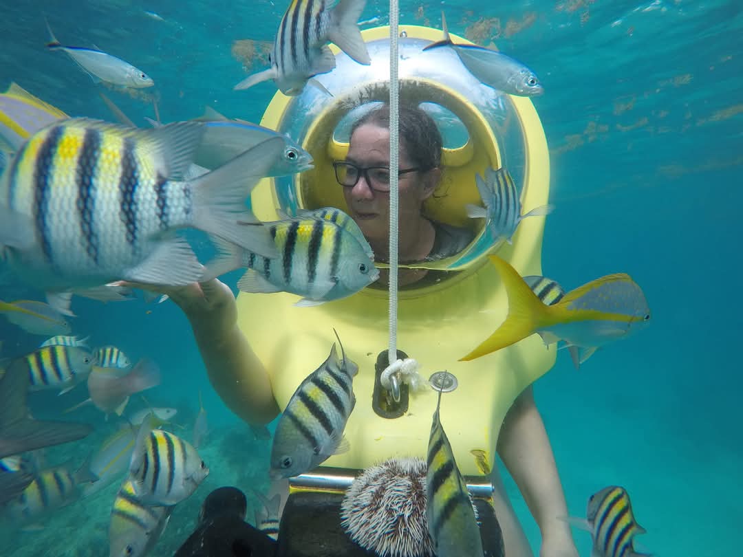 DCIM101GOPROGOPR3173.JPG