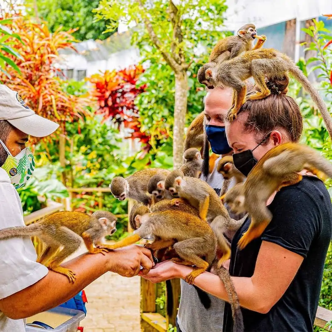 Monkeyland-form-Punta-Cana