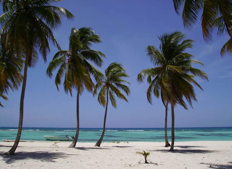 canto-de-la-playa-capitan-gringo