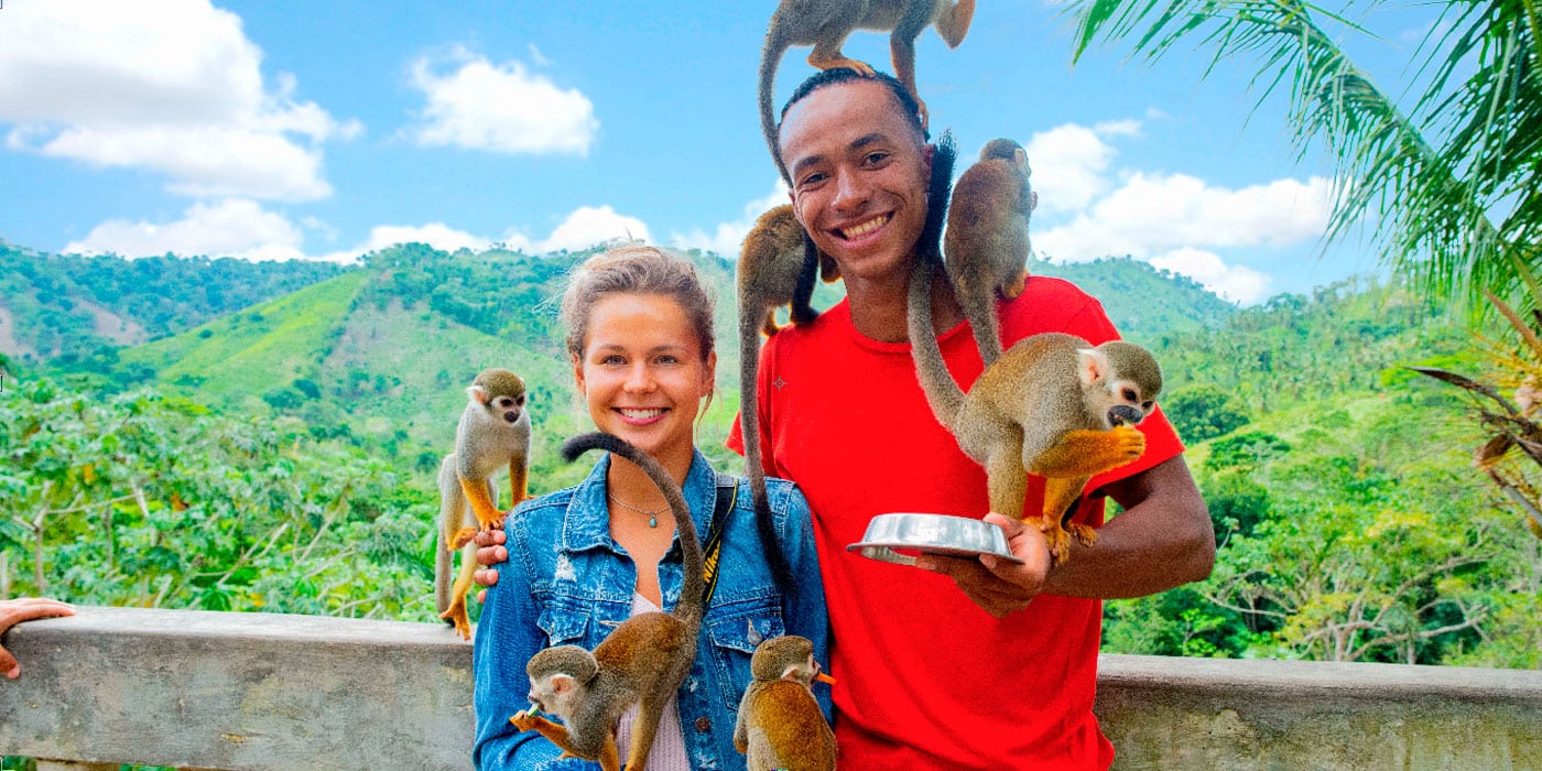 monkeyland_12