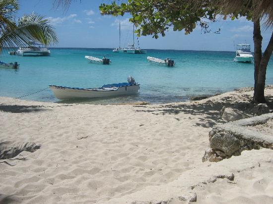 see-more-tourism-excursiones
